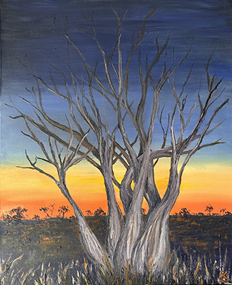 Boab Trees In The Evening Breeze = Kelly Logan