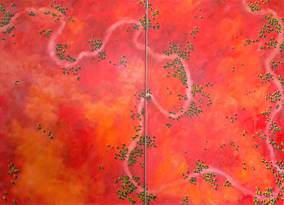 The Track Outback - Barry Mackie