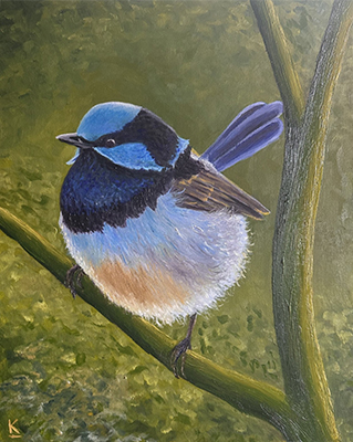 Blue Wren In The Forest - Kelly Logan